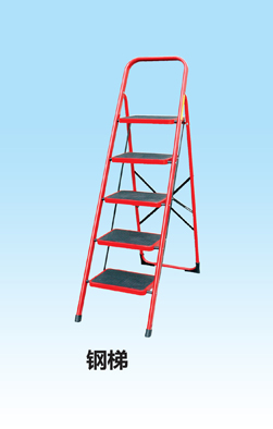 ����鿴��